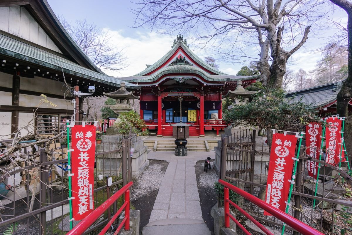 ⛩️ 이노카시라 벤자이텐 다이세이지 (이노카시라 벤자이텐 다이세이지) 이미지 7